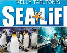 Image result for Kelly Tarlton's Auckland