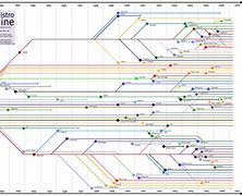 Image result for What Data Supports Evolution