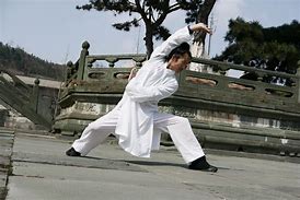 Image result for Martial Arts in China