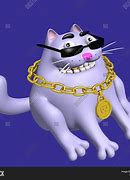 Image result for Funny Fat Cat PFP 1080X1080