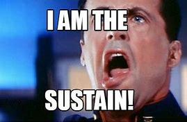 Image result for Sustain Meme