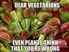 Image result for Venus Flytrap Plant Memes