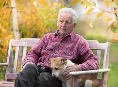 Image result for Man Sitting On Bench with Dog Meme