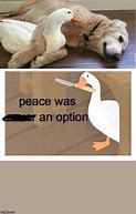 Image result for Finding Peace Memes