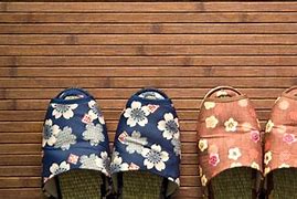 Image result for Japanese Bidet Toilet Seat