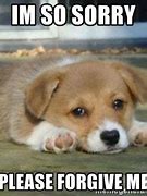 Image result for Sorry About Your Dog