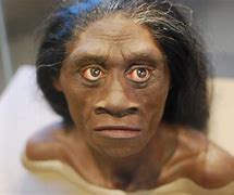 Image result for Humans 50000 Years Ago