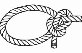 Image result for Anchor in Round Rope PNG Vector