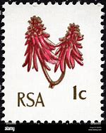 Image result for RSA Stamps