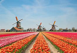 Image result for Beautiful Nature Netherlands