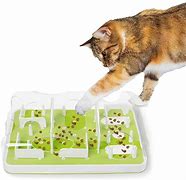 Image result for Cat Puzzle Feeder