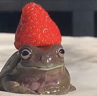 Image result for Strawberry Frog Meme