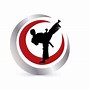 Image result for Premier Martial Arts Graffiti Logo