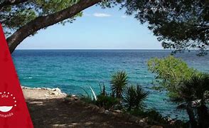 Image result for calafater�a