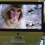 Image result for Apple Mac Big Screen