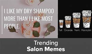Image result for Salon Memes