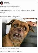 Image result for Trending Funny Memes Picture On Facebook