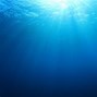 Image result for Things That Are Blue in Nature