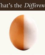 Image result for What Is the Difference Between White and Brown Eggs