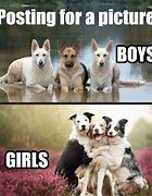 Image result for Friendship and Animals Memes