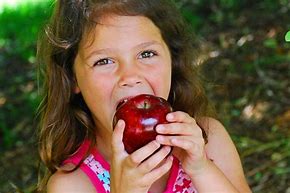 Image result for Red Delicious Apple Leaf