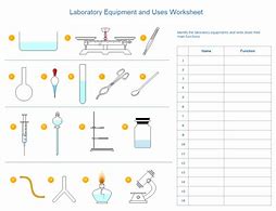 Image result for Science Lab Equipment Worksheet