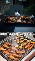 Image result for Cat Meme Grill Chicken