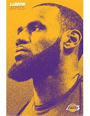 Image result for NBA Basketball LeBron James