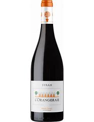 Image result for Sanguis Syrah Pilgrim