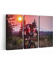 Image result for Cycling Posters Framed