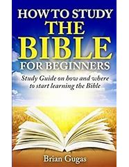 Image result for Bible Study Books for Beginners