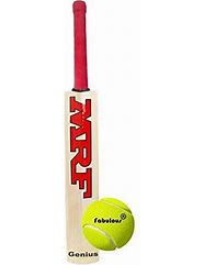 Image result for High Density Foam Cricket Bat and Ball