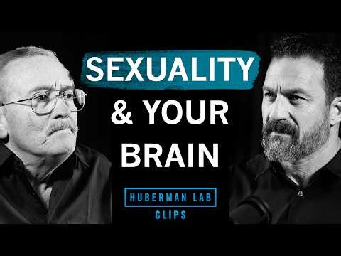How Your Brain Differs Based on Sexuality | Dr. Marc Breedlove & Dr. Andrew Huberman