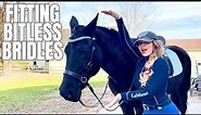 Understanding Bitless Bridles-Connect With Your Horse On Another Level!