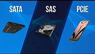 SATA vs SAS VS PCIe | EXPLAINED