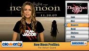 New Moon Profiles: The Volturi Guard