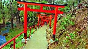 Kyoto Walk - Kamigamo Shrine (上賀茂神社) - 4K