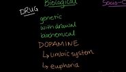 Biological and Sociocultural Factors Food, Sex, and Drugs