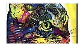 Confident Cat by Dean Russo Canvas Art Wall Picture, Museum Wrapped with Black Sides, 16 x 20 inches