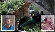 World’s most savage tiger attacks as raging beasts devour ENTIRE VILLAGES
