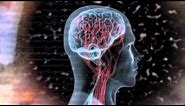 What is biofeedback and neurofeedback? A Mind Media video featuring NeXus