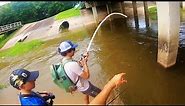 MONSTER CATFISH from a FLOODED CITY CREEK!!!