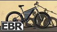 Sondors Fat Bike Review - $700
