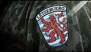 Small but strong: the Luxembourg 🇱🇺 Army