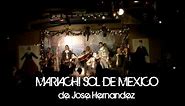 SON DE LA NEGRA - MARIACHI SOL DE MEXICO