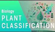 Plant Classification | Evolution | Biology | FuseSchool