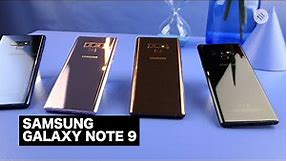 Samsung Galaxy Note 9 Launched: Price & Features