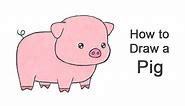 How to Draw a Pig (Cartoon)