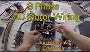 3 Phase Magnetic Motor Starter and Wire Diagram