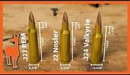 224 Valkyrie vs 22 Nosler vs .223 Remington: Wild Speculations!